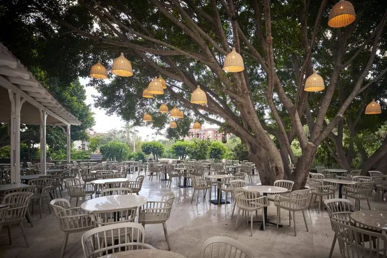 Restoran &amp; Bar